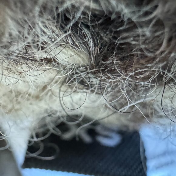 St. Roche Juniper Sweater Vest Heather Gray Size XS Floral Hand Embroidery Soft - Picture 14 of 16